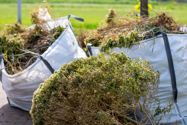 Best Furniture Removal Near Me  in Lineville, AL