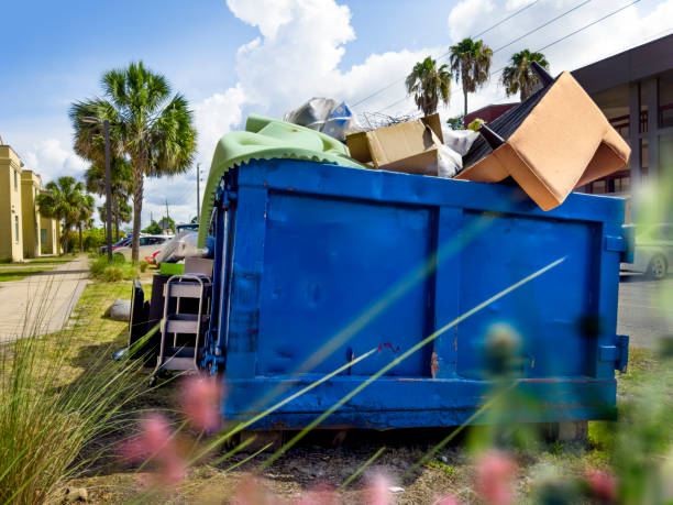 Professional Junk Removal in Lineville, AL